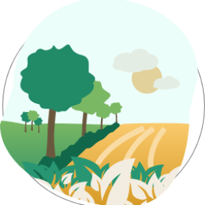 Aménagement des parcelles & environnement