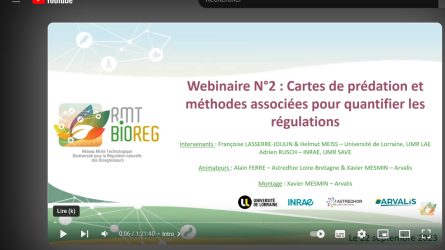 Replay Webinaire N°2